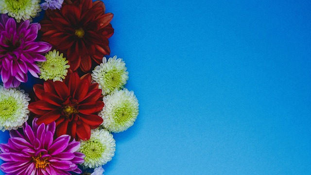 許多籃球界 許多籃球界