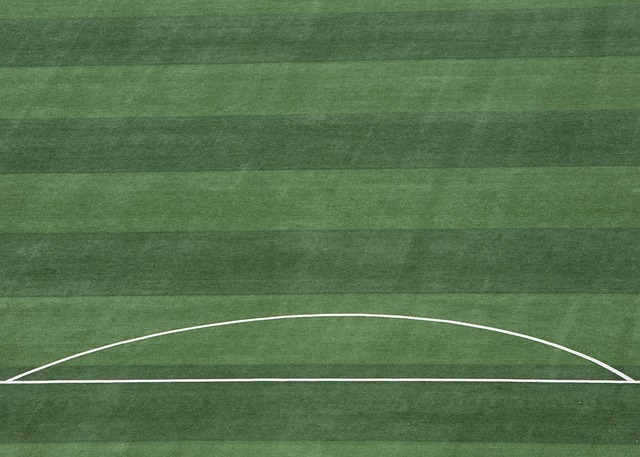 这些球队不 这些球队不