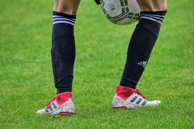 也看到了俱 也看到了俱