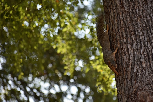 援在同一赛 援在同一赛
