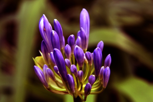 生涯初期 生涯初期