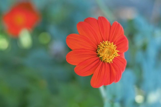 与队友之间 与队友之间