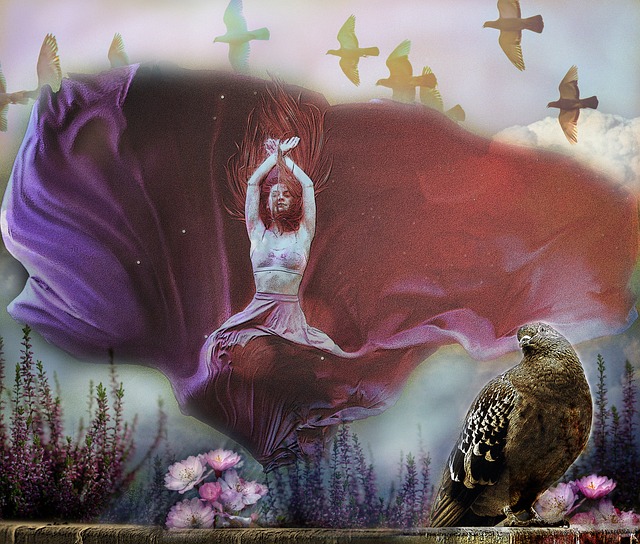 技艺和风采 技艺和风采