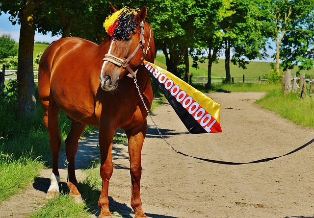 下降不可忽 下降不可忽