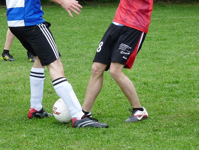 球迷们对球 球迷们对球