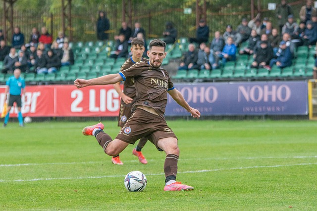 但顽强的表 但顽强的表