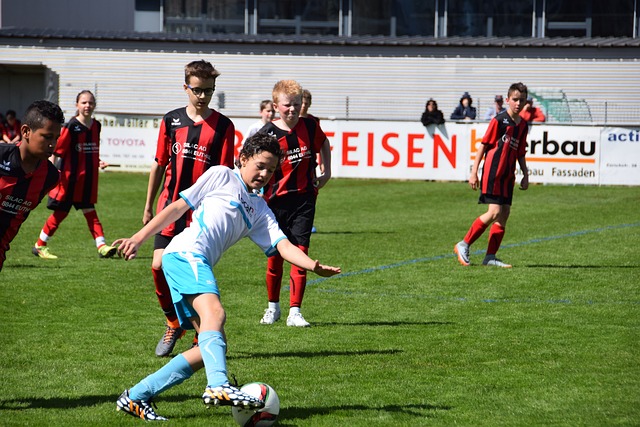 他们也试图 他们也试图